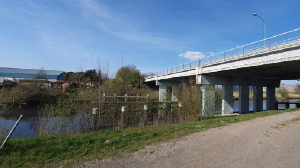 Dood veulen uit kanaal gehaald; politie zoekt getuigen