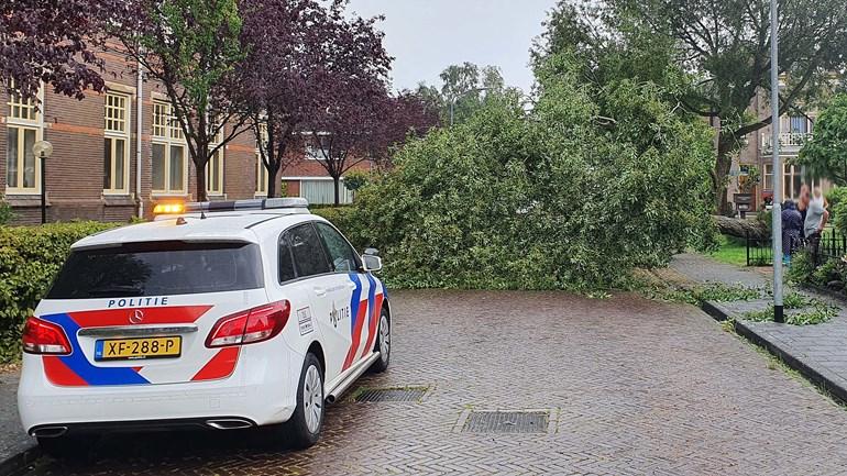 Brandweer verwijderd omgewaaide boom in Assen