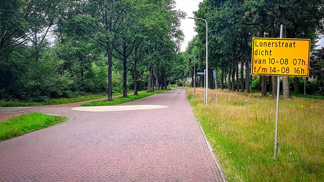 Drempels Lonerstraat worden verhoogd