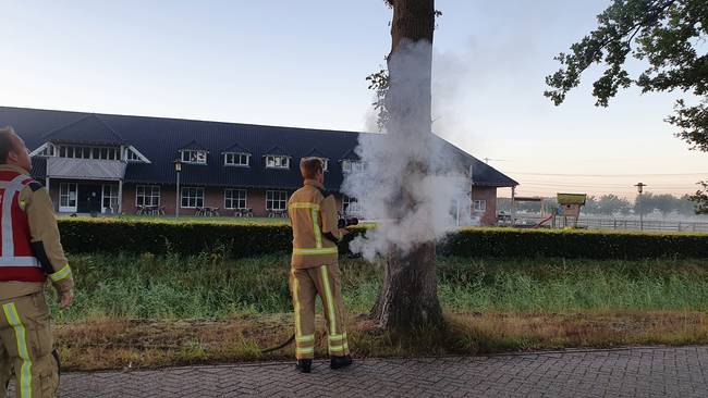 Boom in de brand bij Baggelhuizerplas (Video)