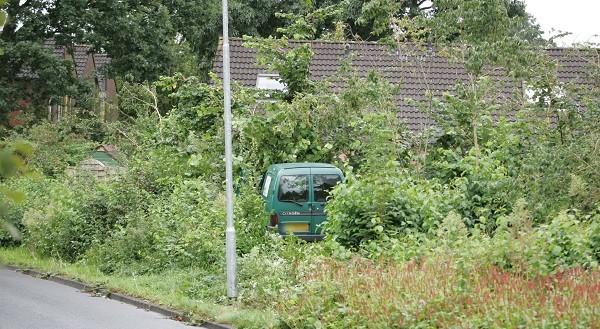 Maaltijdbezorger vliegt uit de bocht en schiet bosjes in