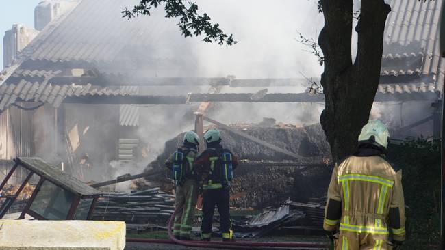 Brand in stal met koeien zorgt voor flinke rookontwikkeling (Video)