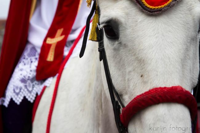 Stichting Sinterklaasintocht Assen schrapt alle activiteiten