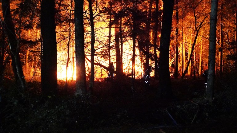 Flinke brand in bos in Assen (Video)