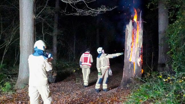 Boom in de brand in Amelterbos (Video)