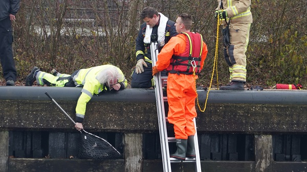 Te water geraakte kat houdt brandweer bezig in Assen (video)