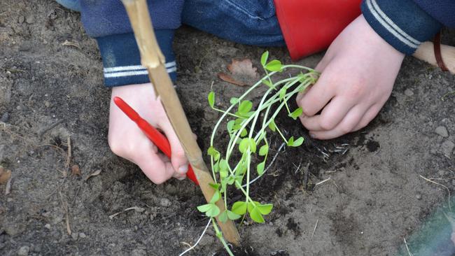 Kinderen leren over voedsel en eten met interactieve praatplaten