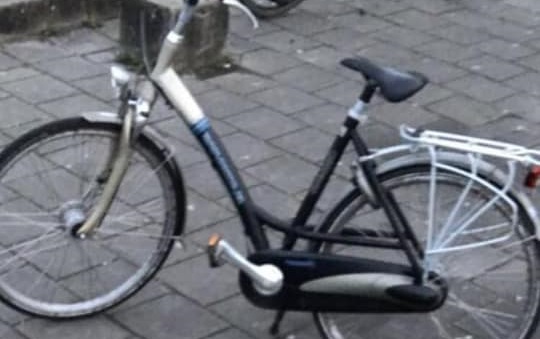 Gestolen fiets gezocht in de wijk Peelo