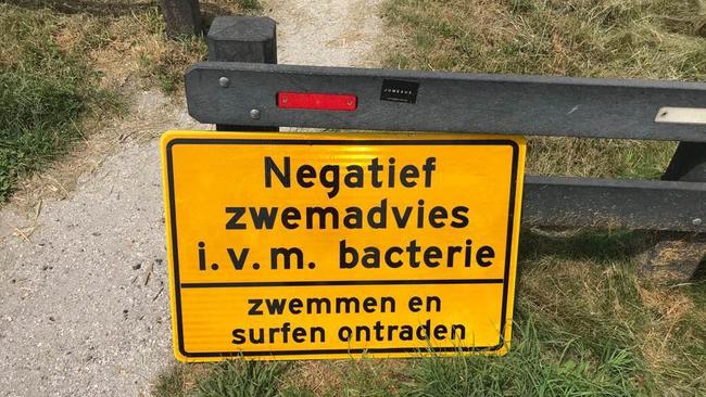 Bacterie gevonden bij hondenstrand Baggelhuizerplas