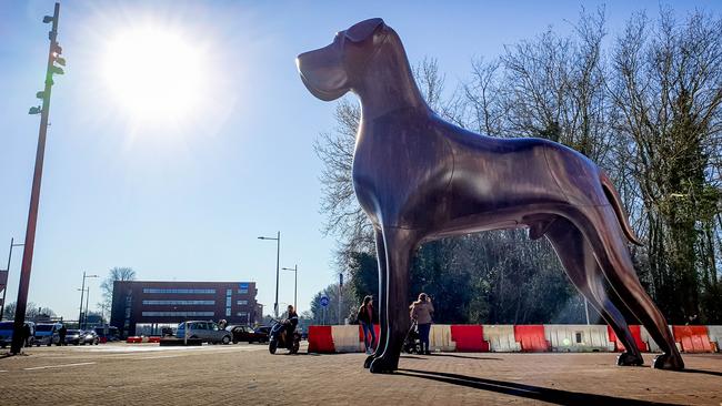 Gemeente Assen krijgt uitstel voor afdekken stationshond Mannes