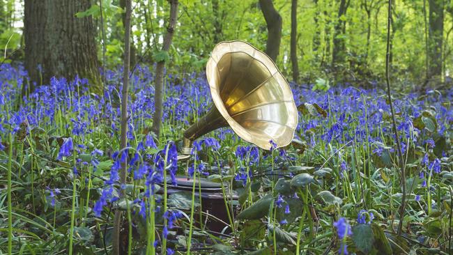 Unieke voorstelling in het Asserbos: het Carnaval der Bedreigde Dieren