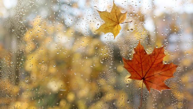 Wind en regen zijn geen typisch herfstweer