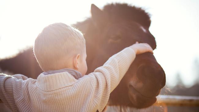 Dierenactiviteiten voor kinderen in winkelcentrum Kloosterveste