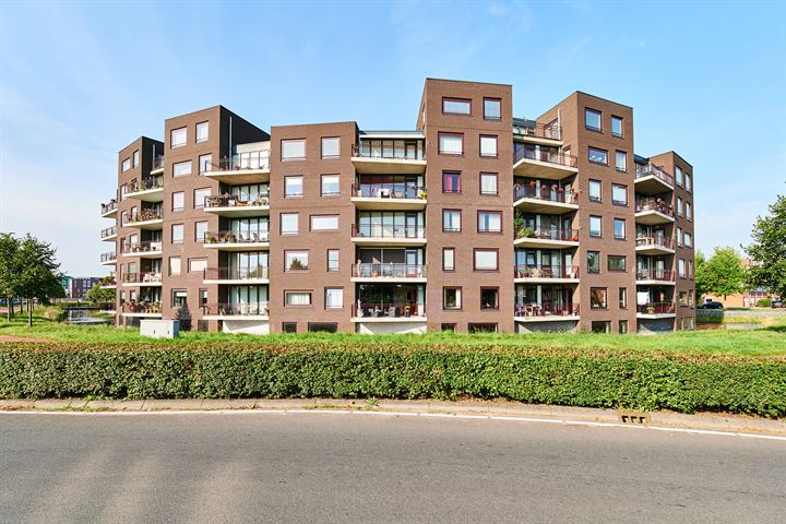 Te koop in Assen: ruim appartement met vrij uitzicht