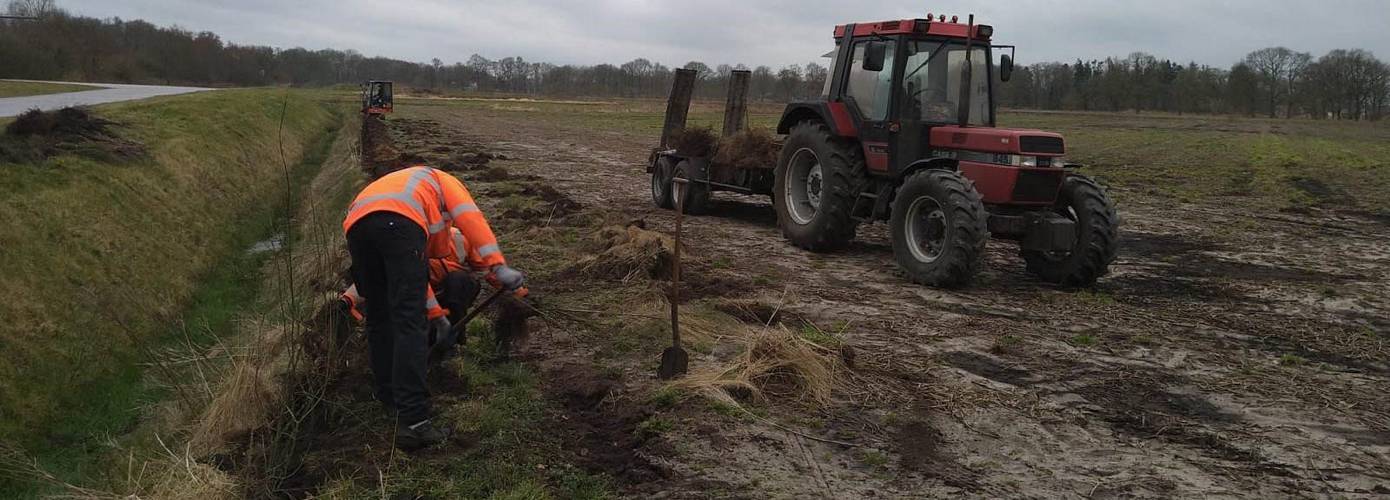 Realisatie Energietuin Assen-Zuid van start met aanbreng beplanting