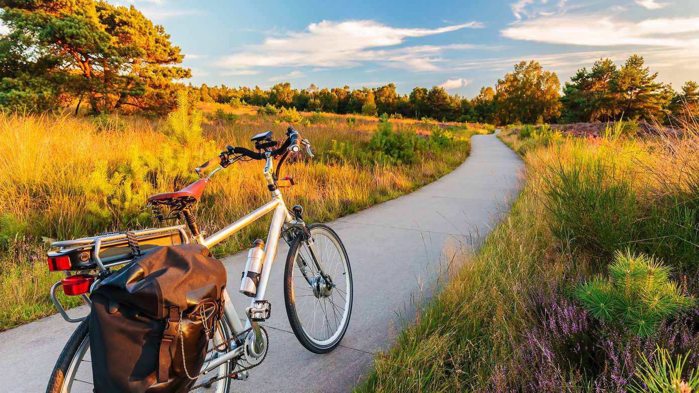 Elektrische Fietsen Veroveren Nederland: Waarom Ze Snel De Norm Worden