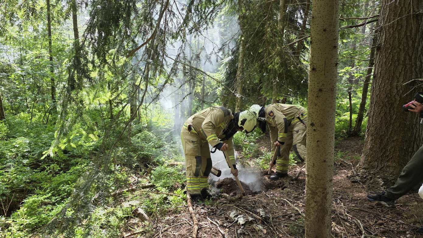 Brandweer ingezet voor stoken van vuur midden in bos bij hangplek in Assen