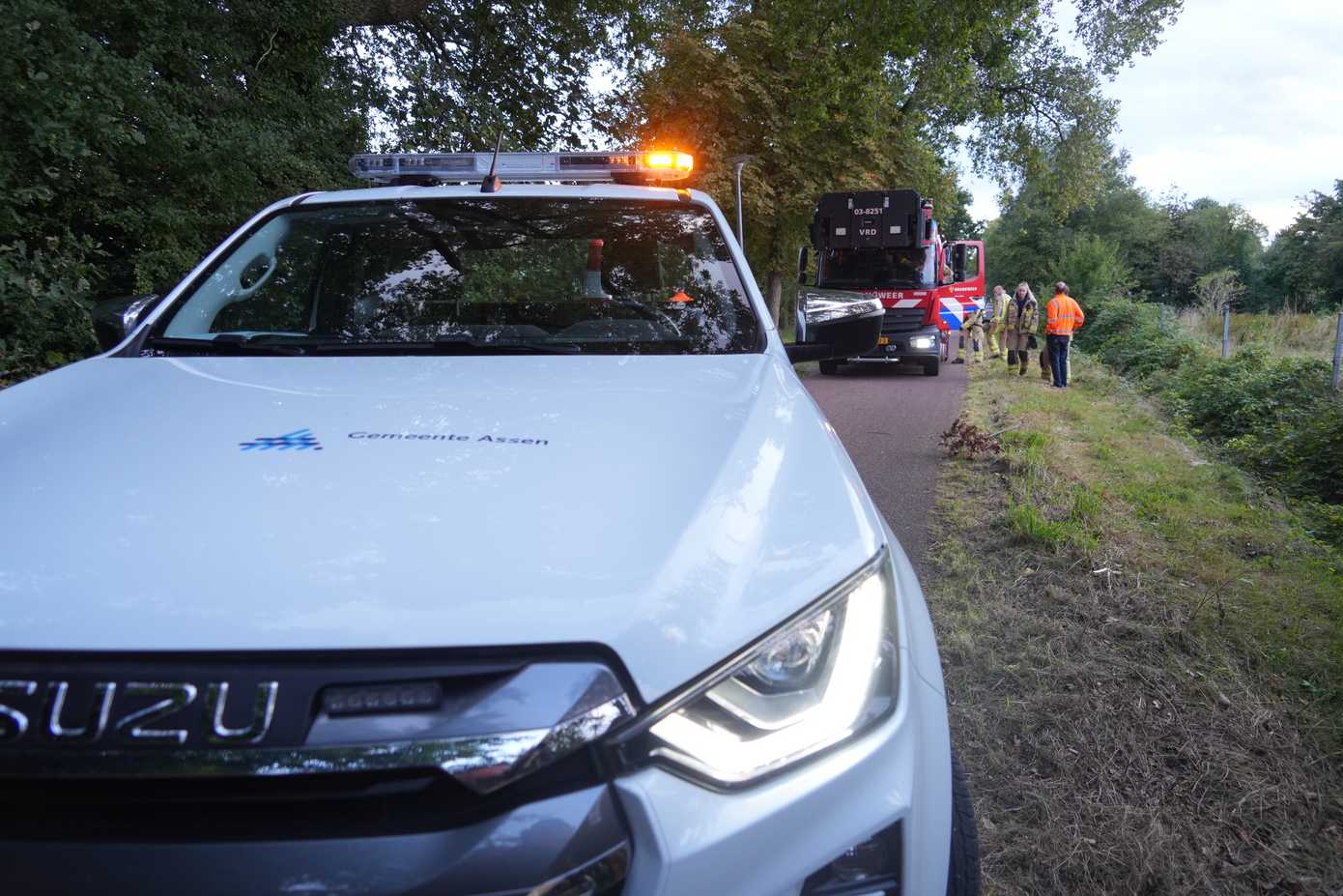 Gevaarlijk hangende tak door brandweer verwijderd