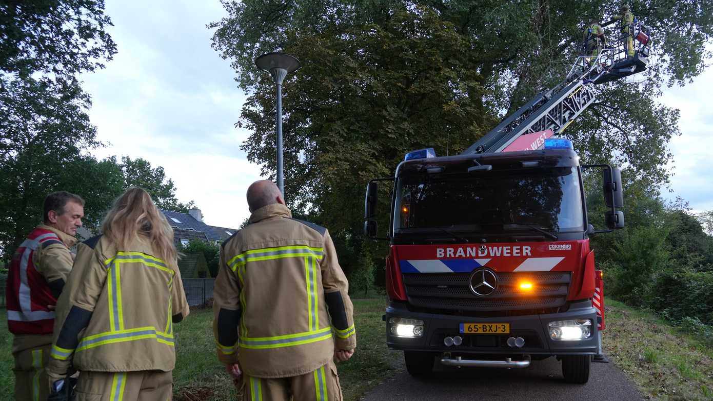 Gevaarlijk hangende tak door brandweer verwijderd