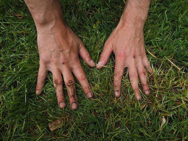 Project Grondgebruik gaat verder in Peelo